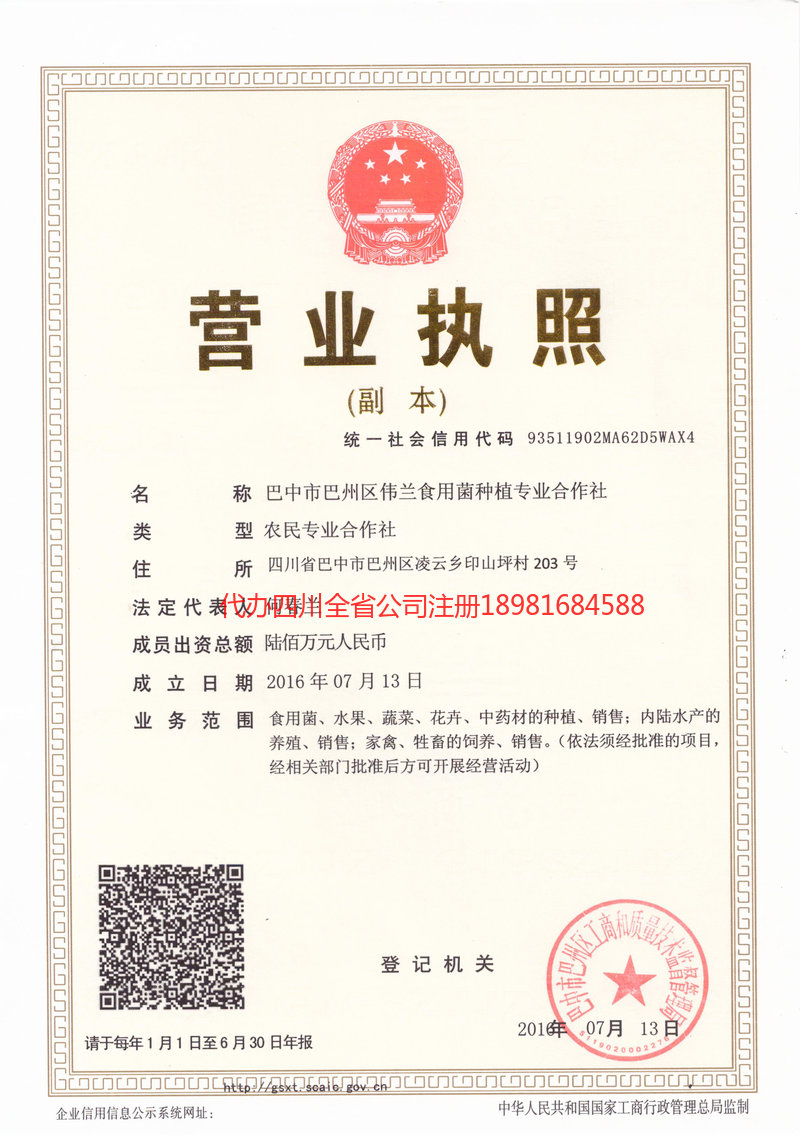 新密新密伟兰食用菌种植专业合作社